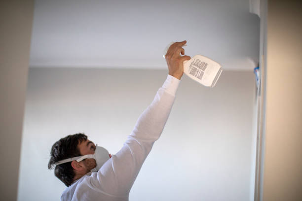 Office Mold Removal Services in Senatobia, MS