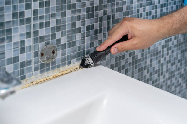 Best Mold Removal Company Near Me  in Senatobia, MS