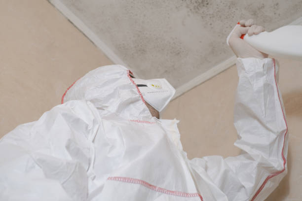 Best Toxic Mold Removal  in Senatobia, MS