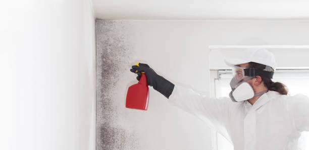 Best Crawl Space Mold Removal  in Senatobia, MS